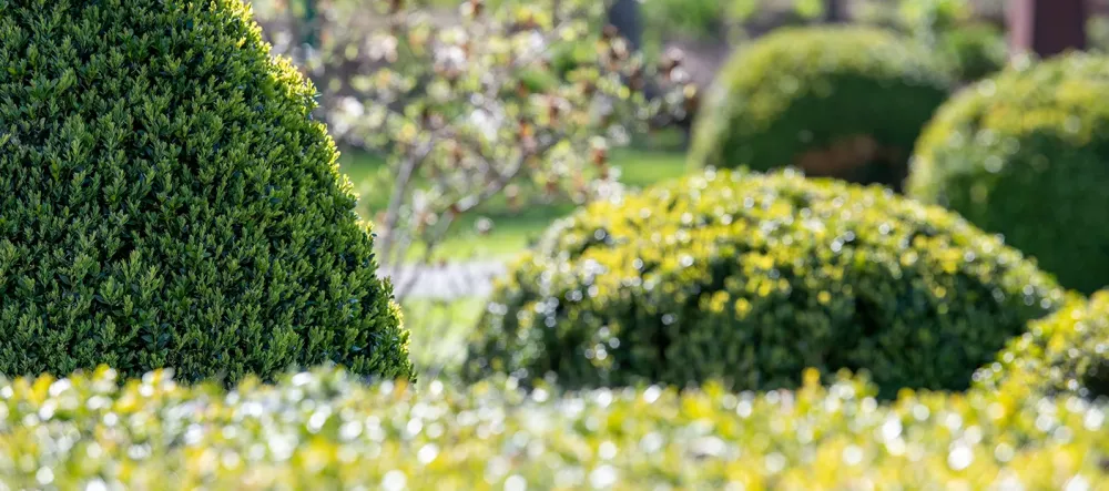 Service à la personne près de Chanteloup